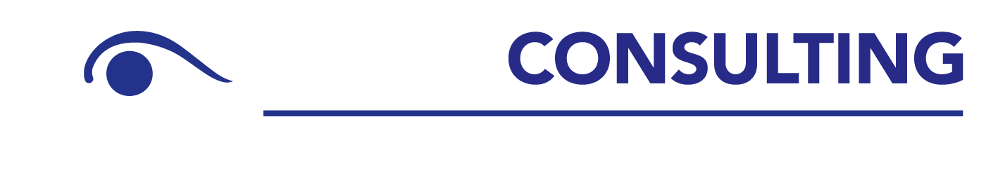 Pollu Consulting GmbH